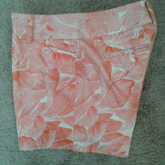 The Limited Drew Fit Shorts - Picture 4 of 5